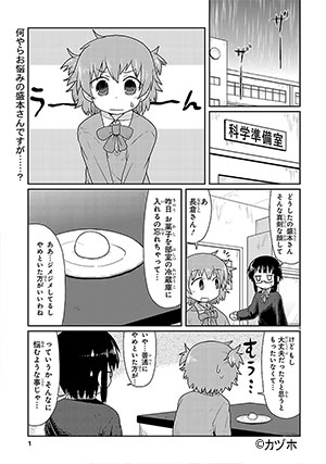 カガクチョップ
