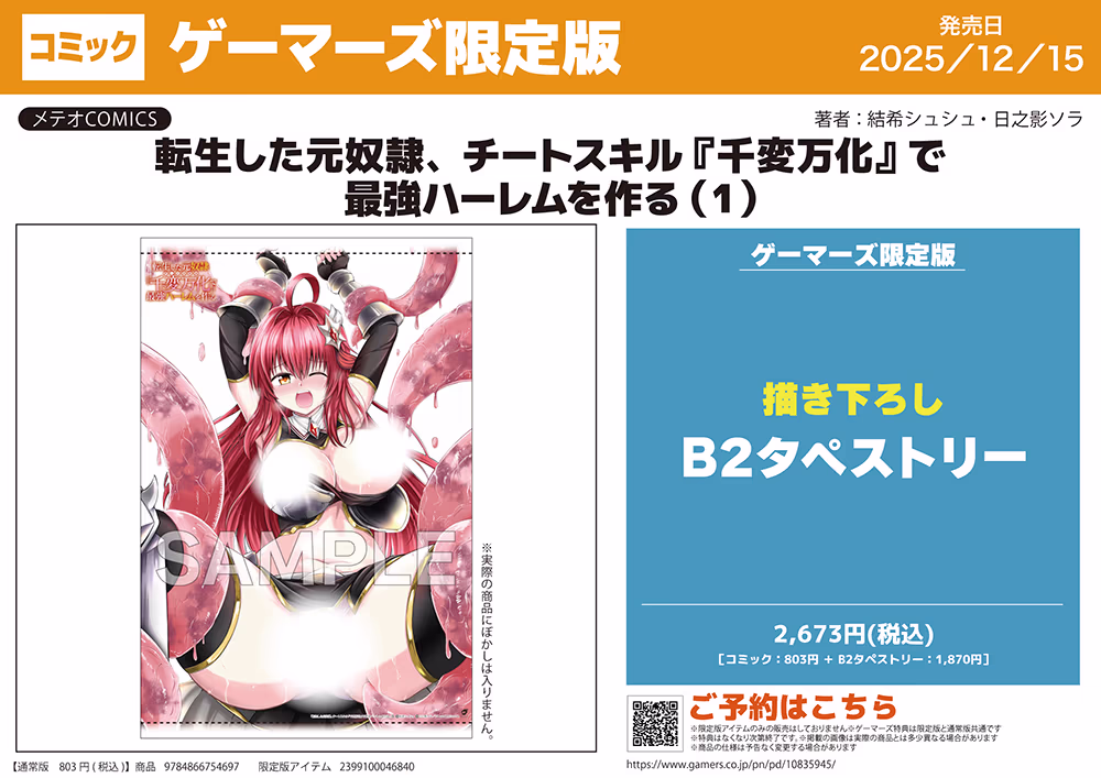 ゲーマーズ限定版【描き下ろしB2タペストリー付】