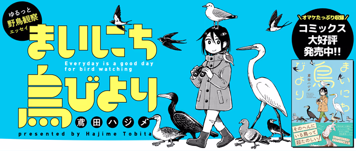 まいにち鳥びより