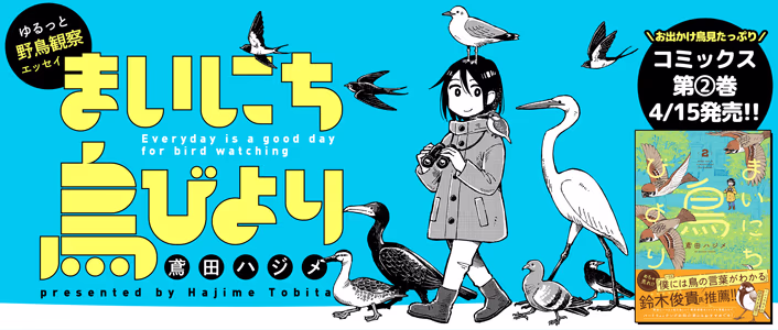 まいにち鳥びより