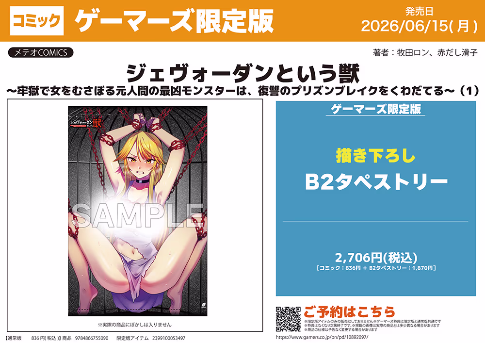 ゲーマーズ限定版【描き下ろしB2タペストリー付】