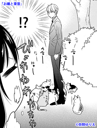 ojou00008完成