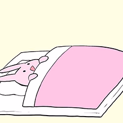 流星ハニー