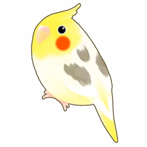 鷲尾美枝