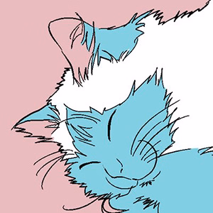 なかおもとこ