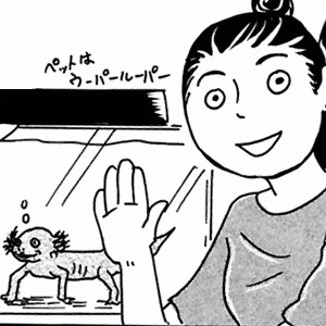 関口かんこ