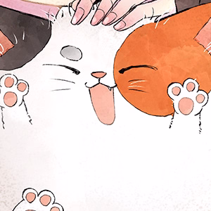 堀井優