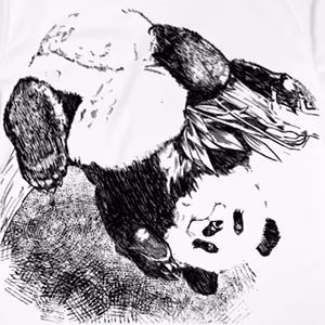 菊野郎