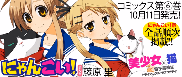 にゃんこい！