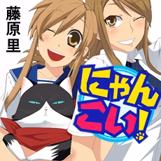 にゃんこい！