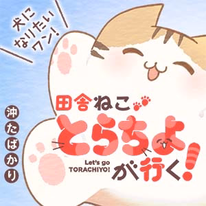 田舎ねこ とらちよが行く！
