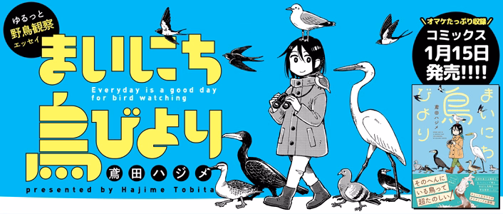 まいにち鳥びより