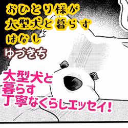 おひとり様が大型犬と暮らすはなし