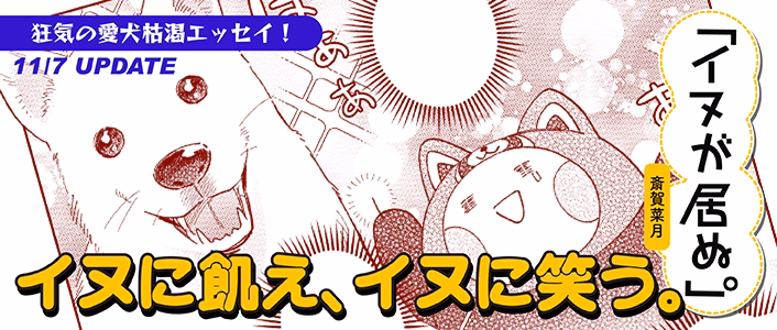 イヌが居ぬ。