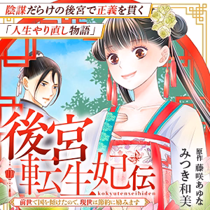 後宮転生妃伝～前世で国を傾けたので、現世は節約に励みます～