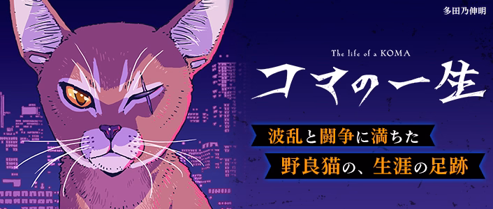 コマの一生