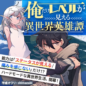 俺だけレベルが見える異世界英雄譚