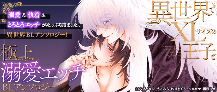 異世界でXLサイズの王子と極上溺愛エッチBLアンソロジー