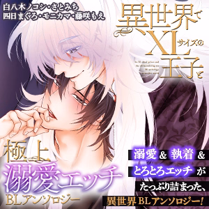 異世界でXLサイズの王子と極上溺愛エッチBLアンソロジー
